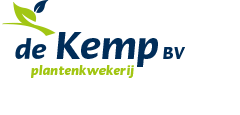 plantenkwekerij de kemp bv